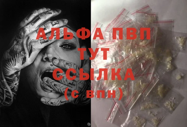 СК Алзамай