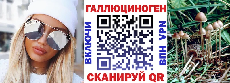 Галлюциногенные грибы Psilocybe  купить наркоту  Пущино 